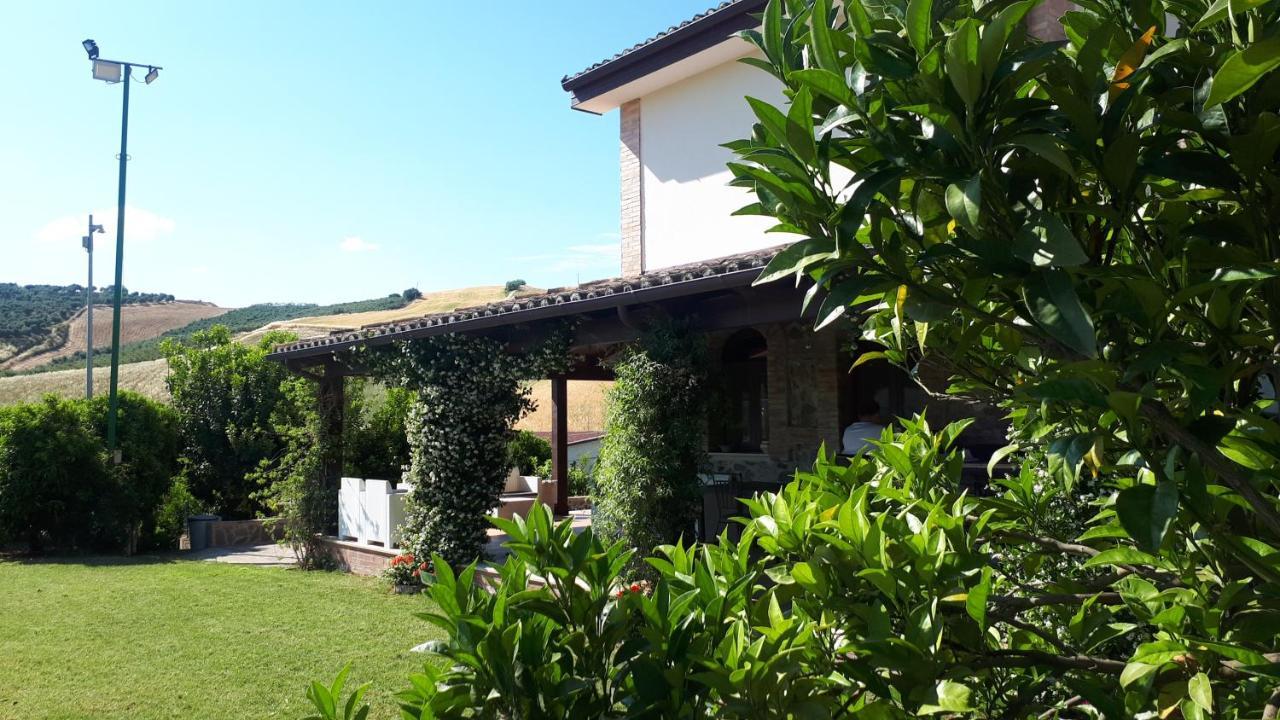Agriturismo Trappeto Vecchio San Demetrio Corone Eksteriør bilde