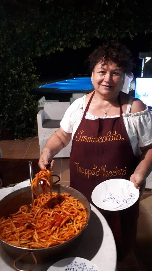 Agriturismo Trappeto Vecchio San Demetrio Corone Eksteriør bilde
