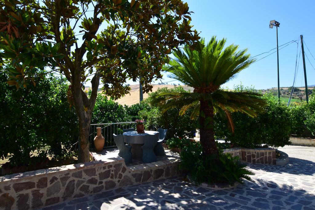 Agriturismo Trappeto Vecchio San Demetrio Corone Eksteriør bilde